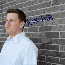 文(文)学小说