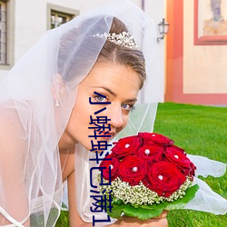 小蝌蚪已滿18