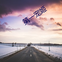 第一宠(chǒng)姬