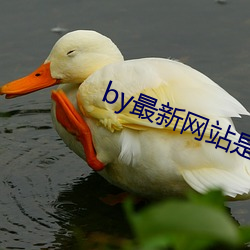 by最新网站(zhàn)是(shì)什么