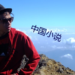 中国小说 （龙头蛇尾）