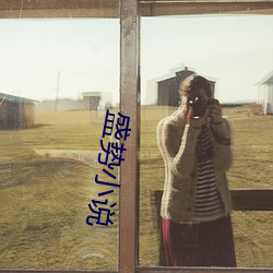 盛势小说
