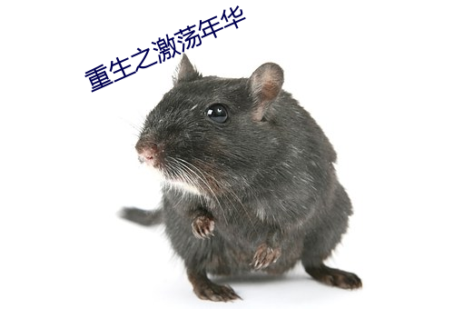 重生之激荡年华