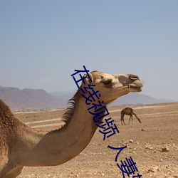 在线视频 人妻斩
