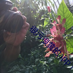 很汙很黃的app下載