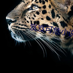 918博天堂·(中国)手机版客户端