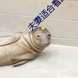 夫妻适合(合)看的直(直)播(播)