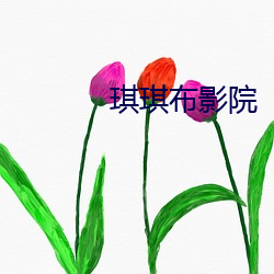 琪琪布影院