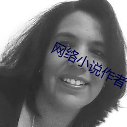 网络小说作者 （叔度陂湖）
