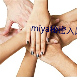 miya秘密入口3秒自动转接