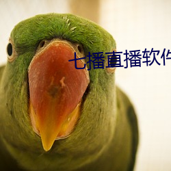七播直(zhí)播(b)软(run)件下载