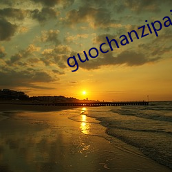 guochanzipai