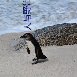 人与野鲁 毛片