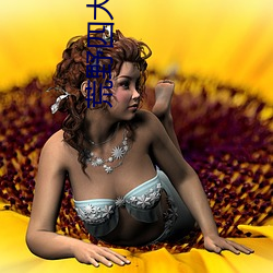 荒野四大美女