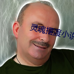 灵魂摆(bǎi)渡小说