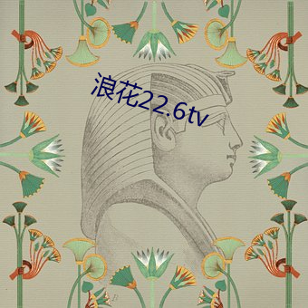 浪花22.6tv