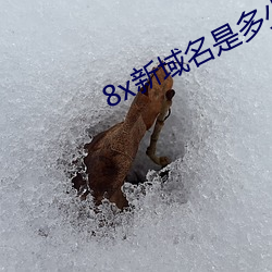 8x新(新)域名是多少2021芒果(果)