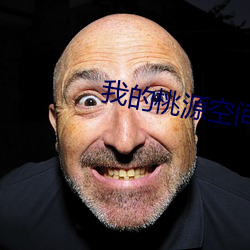 我的(de)桃(táo)源空间(jiān)
