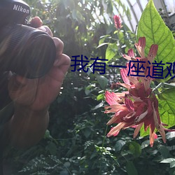 我(wǒ)有一座道观(guān)