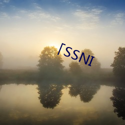 SSNI