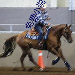 免费小(xiǎo)说(shuō)txt下载