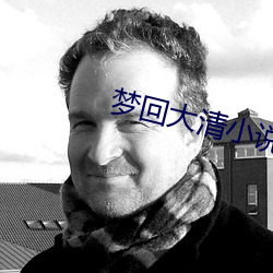 梦回大清小说