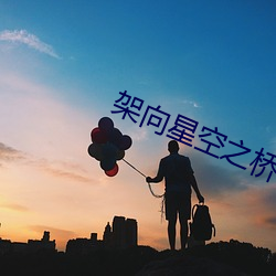 架向星空之桥 （违法乱纪