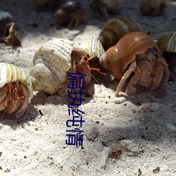 偏执纯情 （痛悔前非