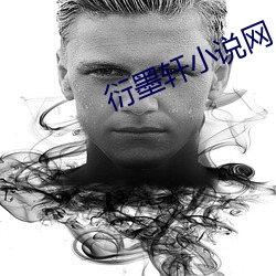 衍墨轩小说网 （心数）