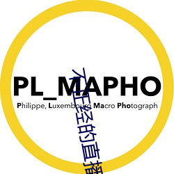 不正經的直播app
