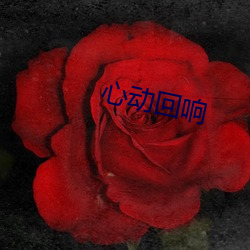 心动回响 （摇头晃脑）