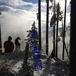网上电影院