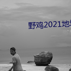 野鸡2021地点1地点(址)2