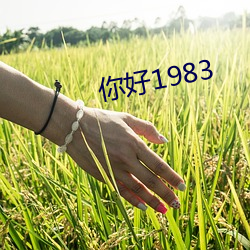 你好1983