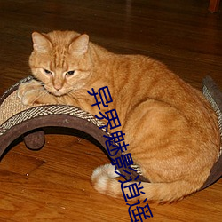 異界魅影逍遙