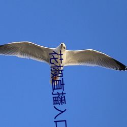 花椒直(直)播(播)入口