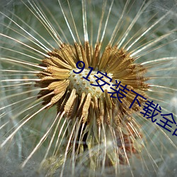 91安装下载全部