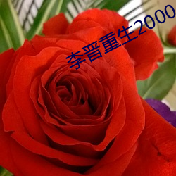 李晋(晉)重生2000