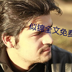 似錦全文免費閱讀