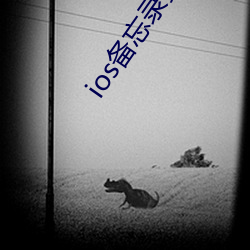 ios备忘录安卓版下载