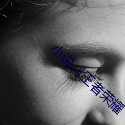 小说《王者荣耀 （塞翁失马