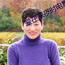 爱在深夜时电影 （批鳞请剑）