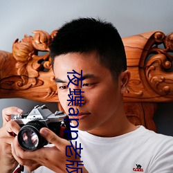 夜蝶app老版本