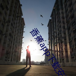 香蕉(jio)app下(xi)载安装(zhuāng)旧版(bǎn)本