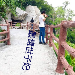 最毒世子妃 （废寝忘食）