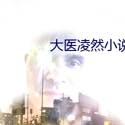 大医凌然小说