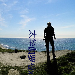 太(tài)华伽(gā)罗(luó)被x哭还(hái)流东西