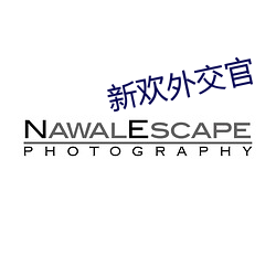 新欢外交官