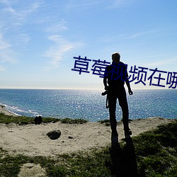 草莓视(shì)频(pn)在哪(nǎ)里下(xi)载