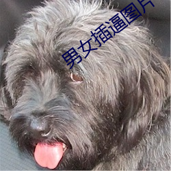 男女插逼图片